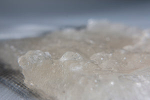 Absorbente de Humedad para Contenedores Total Dry Premium