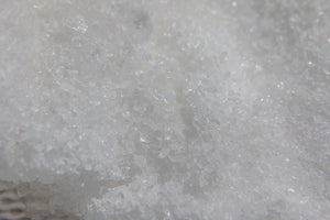 Absorbente de Humedad para Contenedores Total Dry Premium